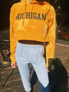 Michigan Vintage