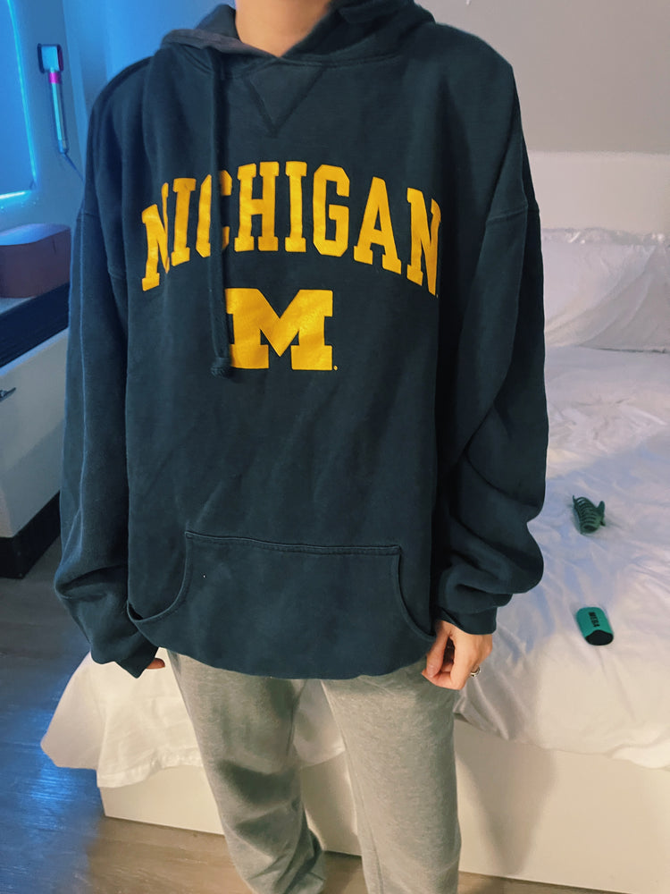 NEW IN Michigan Vintage hoodie