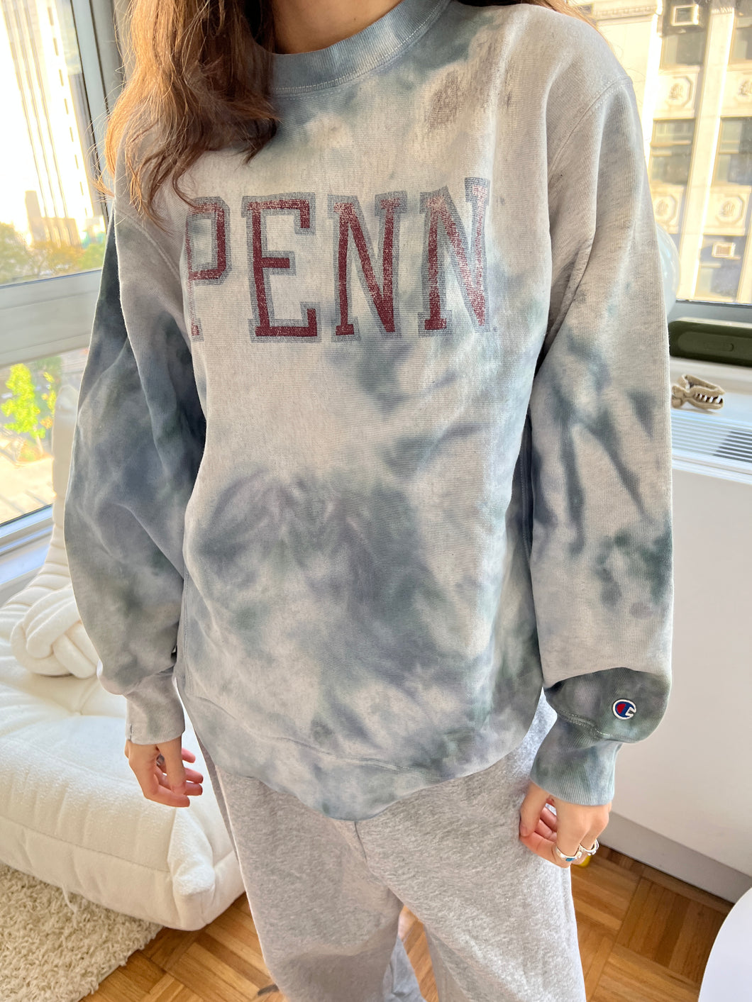 Penn Vintage Sweatshirt #1