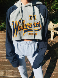 Michigan Vintage Hoodie